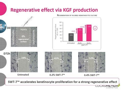  Regenerative effect via KGF production