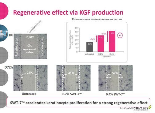 Regenerative effect via KGF production