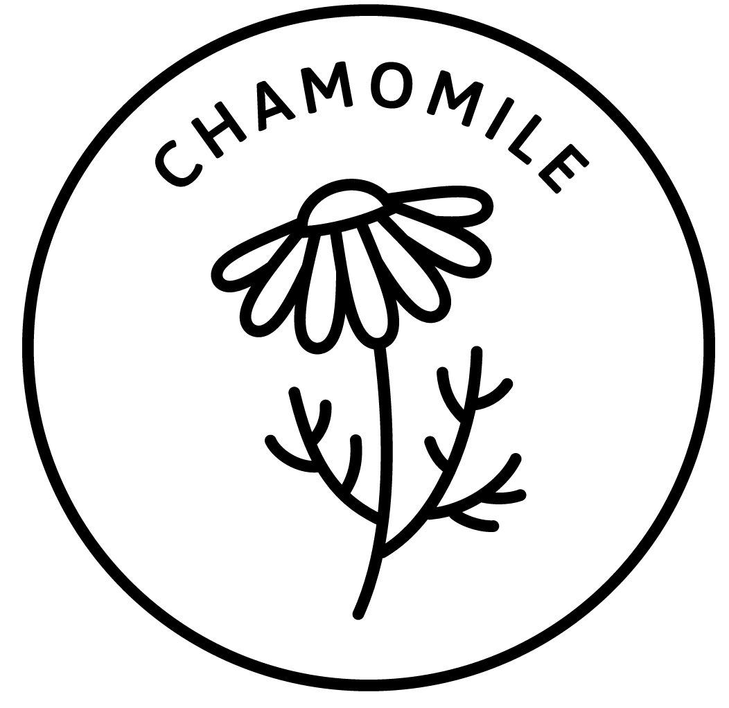 chamomile