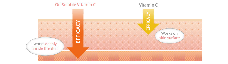 Vitamina C soluble en aceite - La mejor para el antienvejecimiento