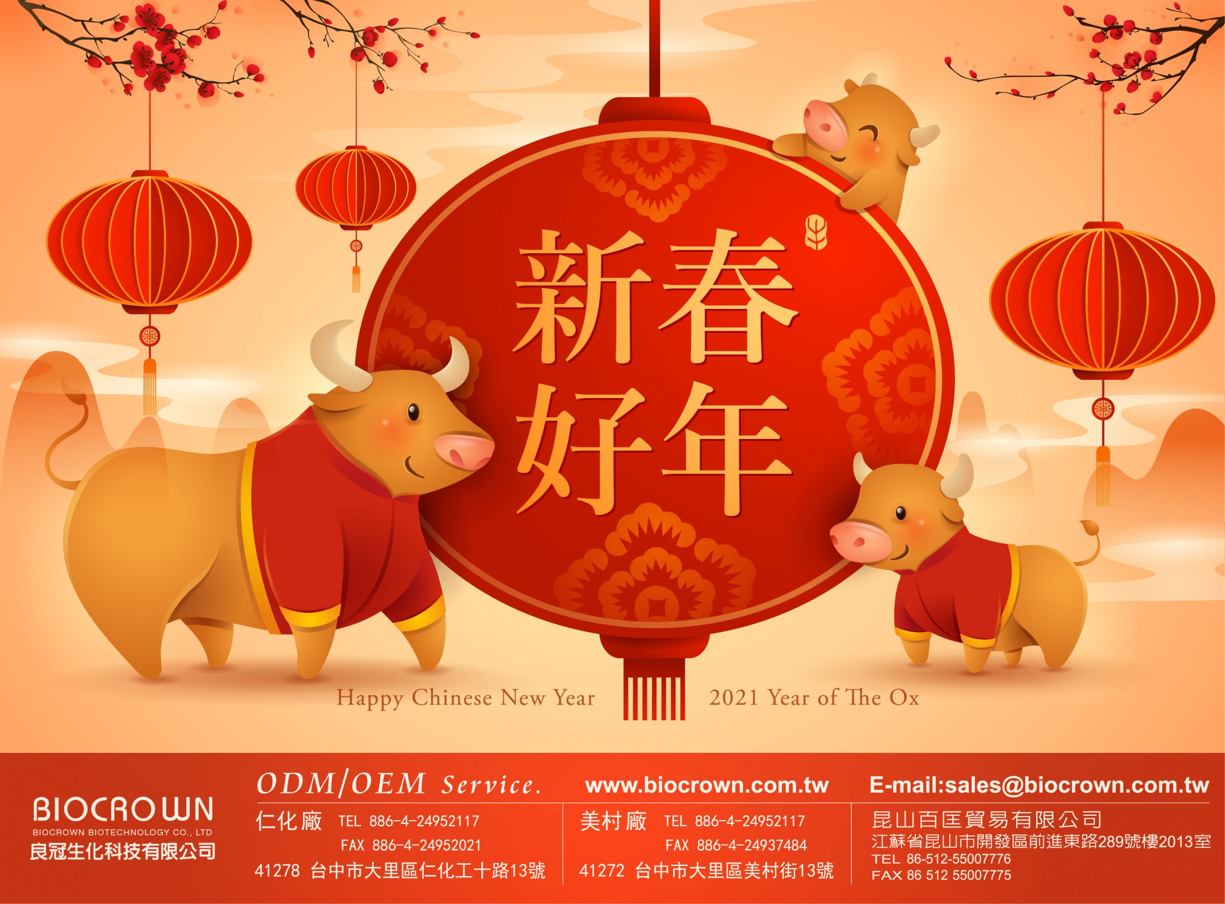 Chinese New Year