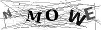 Please refresh your browser to see this image.