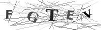 Please refresh your browser to see this image.